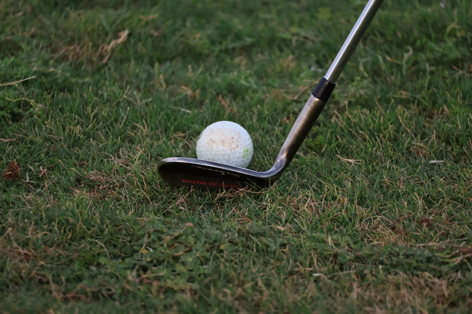 From the Fairway